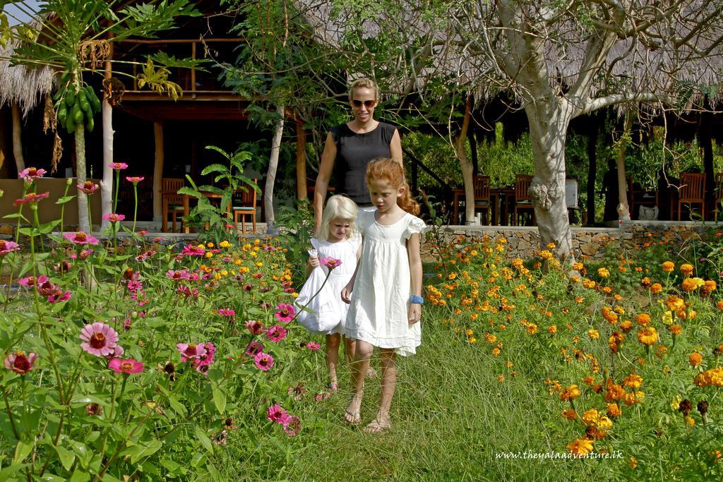 The Yala Adventure Hotell Tissamaharama Eksteriør bilde