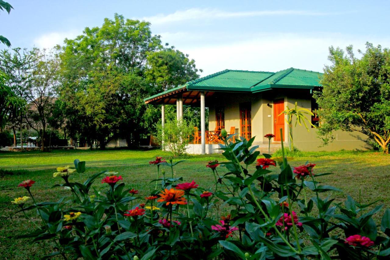The Yala Adventure Hotell Tissamaharama Eksteriør bilde